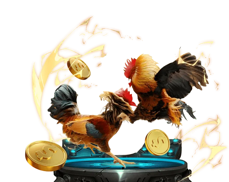 Điều kiện tham gia hợp tác Kubet 77.win